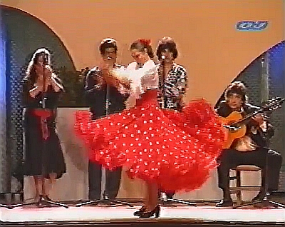 ANA PARRILLA  YSU CUADRO FLAMENCO